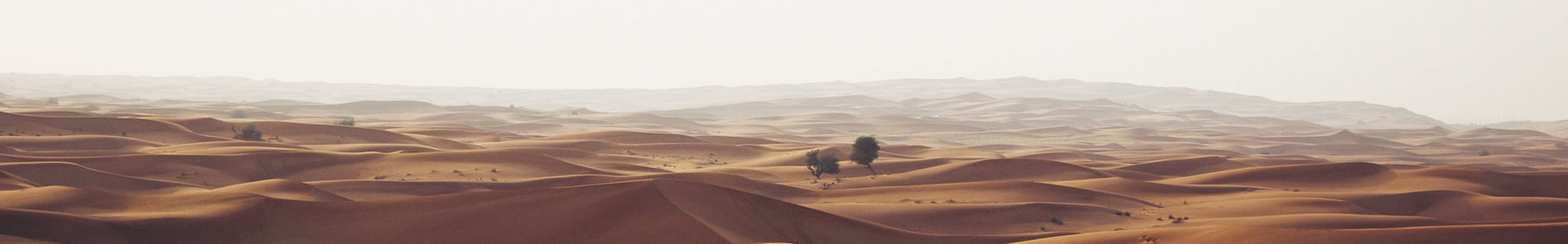 ൺԶе޹˾